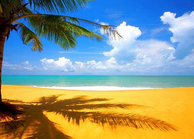 clouds, sand, palm trees, beaches - random desktop wallpaper