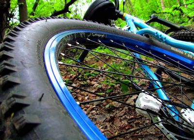 forests, bicycles, sports, spring, Ukraine, mountain bikes - desktop wallpaper