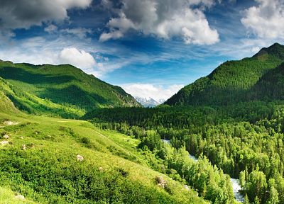 landscapes, nature, trees, forests, hills, valleys - random desktop wallpaper