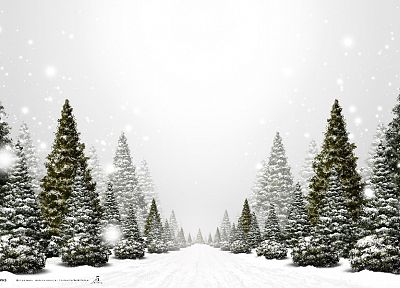landscapes, nature, winter, snow, trees, forests - desktop wallpaper