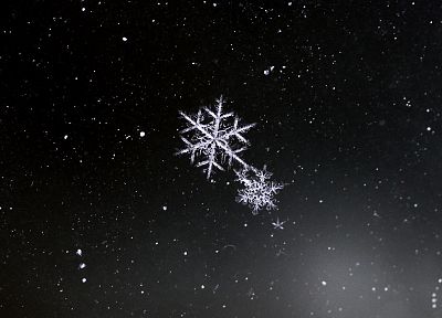 snowflakes, black background - desktop wallpaper