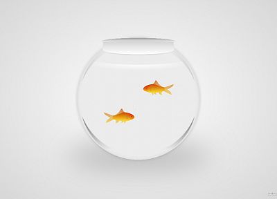 fish - random desktop wallpaper