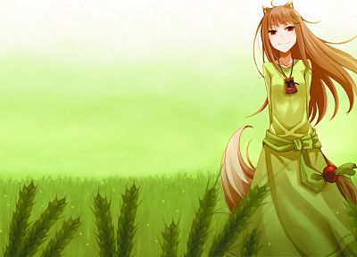 Spice and Wolf, animal ears, Holo The Wise Wolf, inumimi - random desktop wallpaper