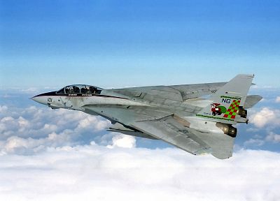 aircraft, military, navy, planes, F-14 Tomcat - random desktop wallpaper