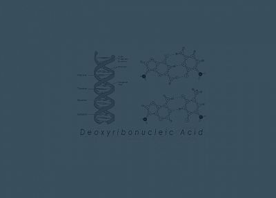Biology, genetics, DNA - desktop wallpaper