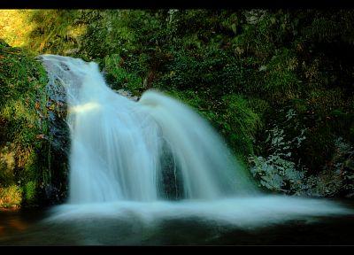 water, nature, trees, waterfalls - desktop wallpaper