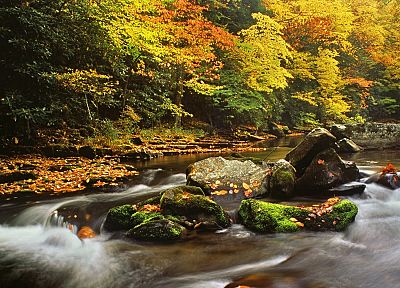 autumn, leaves, rocks, flow, rivers, North Carolina - desktop wallpaper