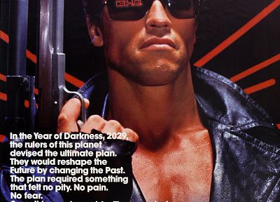 Terminator, Arnold Schwarzenegger, posters - random desktop wallpaper