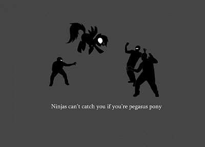 ninjas, ninjas cant catch you if, pegasus, My Little Pony, Rainbow Dash - related desktop wallpaper