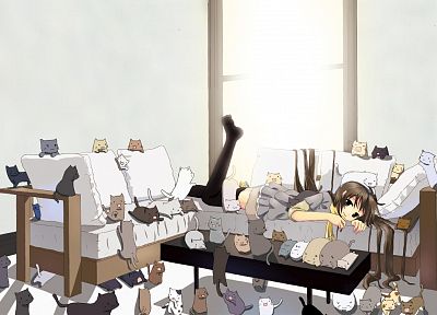 cats, anime girls - random desktop wallpaper