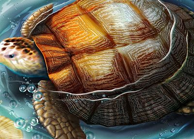 fantasy, animals, digital, CGI, turtles, artwork - random desktop wallpaper