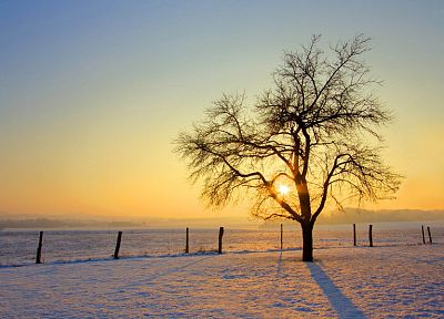 sunset, landscapes, nature, snow, trees - desktop wallpaper