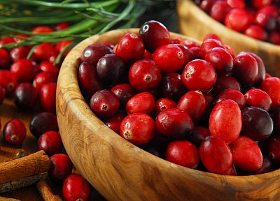 red, berries - related desktop wallpaper