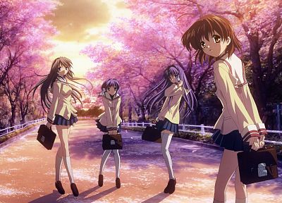 cherry blossoms, Clannad, Sakagami Tomoyo, Furukawa Nagisa, Fujibayashi Kyou, Fujibayashi Ryou - duplicate desktop wallpaper