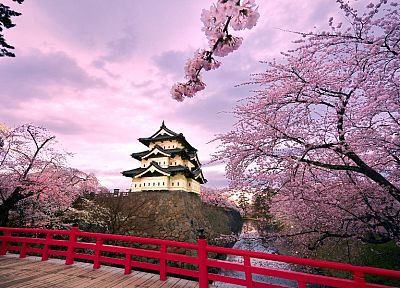Japan, castles, cherry blossoms, pink, houses, japanese bridge, Hirosaki Castle - random desktop wallpaper