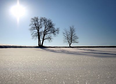 landscapes, winter, snow, Sun, trees, sunlight, blue skies - desktop wallpaper