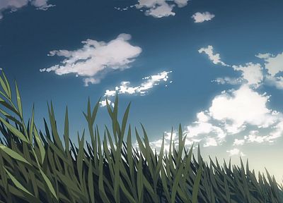 grass, animated, Makoto Shinkai, 5 Centimeters Per Second, drawn, skyscapes - desktop wallpaper