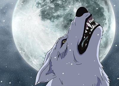 Moon, Wolfs Rain, Kiba, wolves - desktop wallpaper