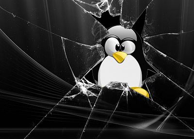glass, Linux, tux, penguins - random desktop wallpaper