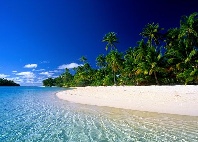 water, palm trees, beaches - desktop wallpaper