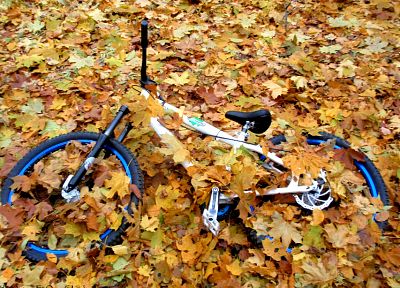bike, autumn, leaves, Ukraine, Cycle, fallen leaves - random desktop wallpaper