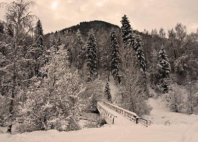 landscapes, winter, snow, trees, bridges, HDR photography, pedestrian bridges - related desktop wallpaper