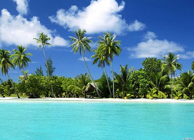 ocean, clouds, nature, palm trees, beaches - duplicate desktop wallpaper