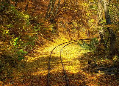 trees, autumn, leaves, railroad tracks - desktop wallpaper