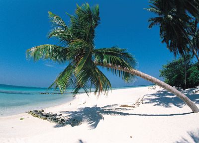 ocean, islands, palm trees, beaches - random desktop wallpaper