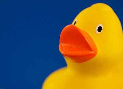 toys (children), simple background, rubber ducks - related desktop wallpaper