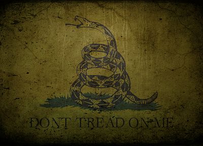 snakes, Benjamin Franklin - desktop wallpaper