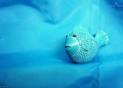water, blue, fish - desktop wallpaper