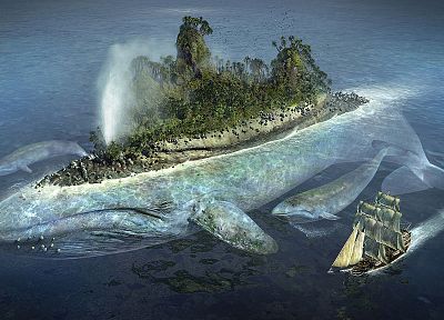 ships, islands, whales, vehicles, sea - desktop wallpaper