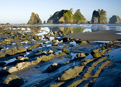 landscapes, point, rocks, National Park, Washington, beaches - random desktop wallpaper
