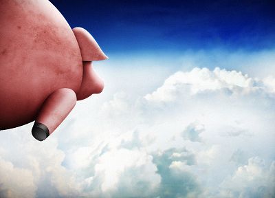 clouds, pigs, skyscapes - duplicate desktop wallpaper