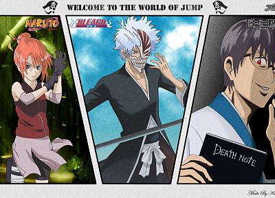 Death Note, Bleach, Naruto: Shippuden, Gintama, parody, anime, crossovers - random desktop wallpaper