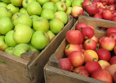 fruits, food, apples - duplicate desktop wallpaper