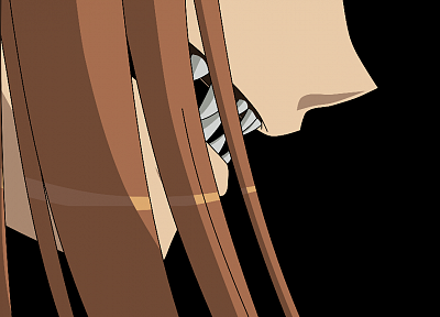 Spice and Wolf, transparent, Holo The Wise Wolf, anime vectors - related desktop wallpaper