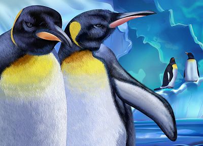 birds, penguins - random desktop wallpaper