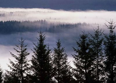garry, mist, Scotland, Highlands - desktop wallpaper