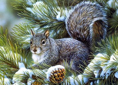 animals, squirrels, artwork - desktop wallpaper