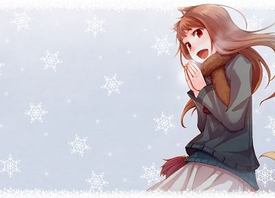 Spice and Wolf, animal ears, Holo The Wise Wolf, inumimi - desktop wallpaper