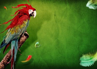 birds, liquid, parrots, feathers, green background - random desktop wallpaper