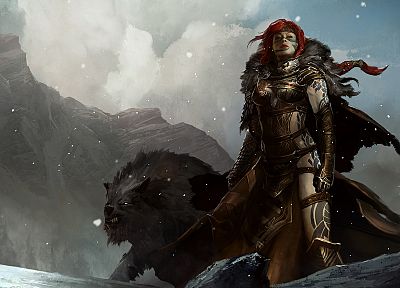 fantasy, warriors, Guild Wars 2, Norn - random desktop wallpaper