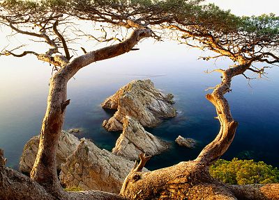 ocean, landscapes, trees, islands, seaside - random desktop wallpaper