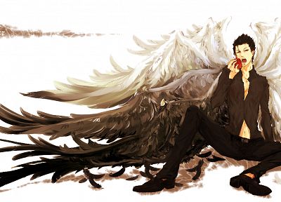 wings, short hair, male, anime, apples, black hair - random desktop wallpaper