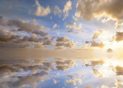 clouds, trees, skyscapes - duplicate desktop wallpaper