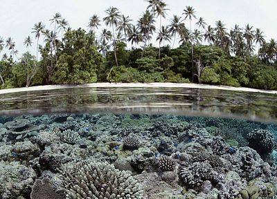 islands, palm trees, coral reef, Solomon Islands, split-view - duplicate desktop wallpaper
