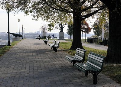 trees, park bench - desktop wallpaper