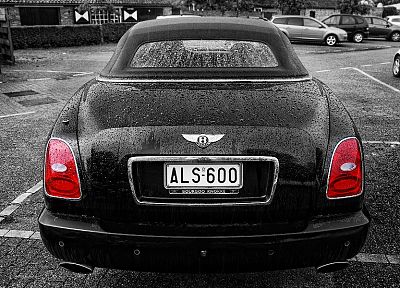 cars, Bentley - desktop wallpaper